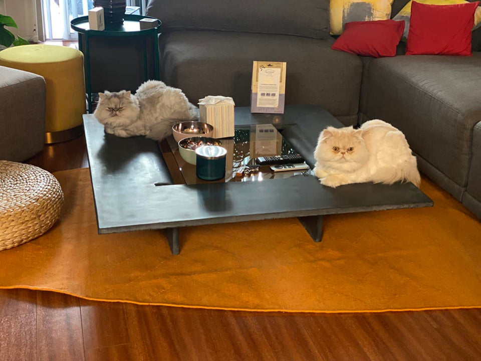 Concrete Coffee Table Concretefall