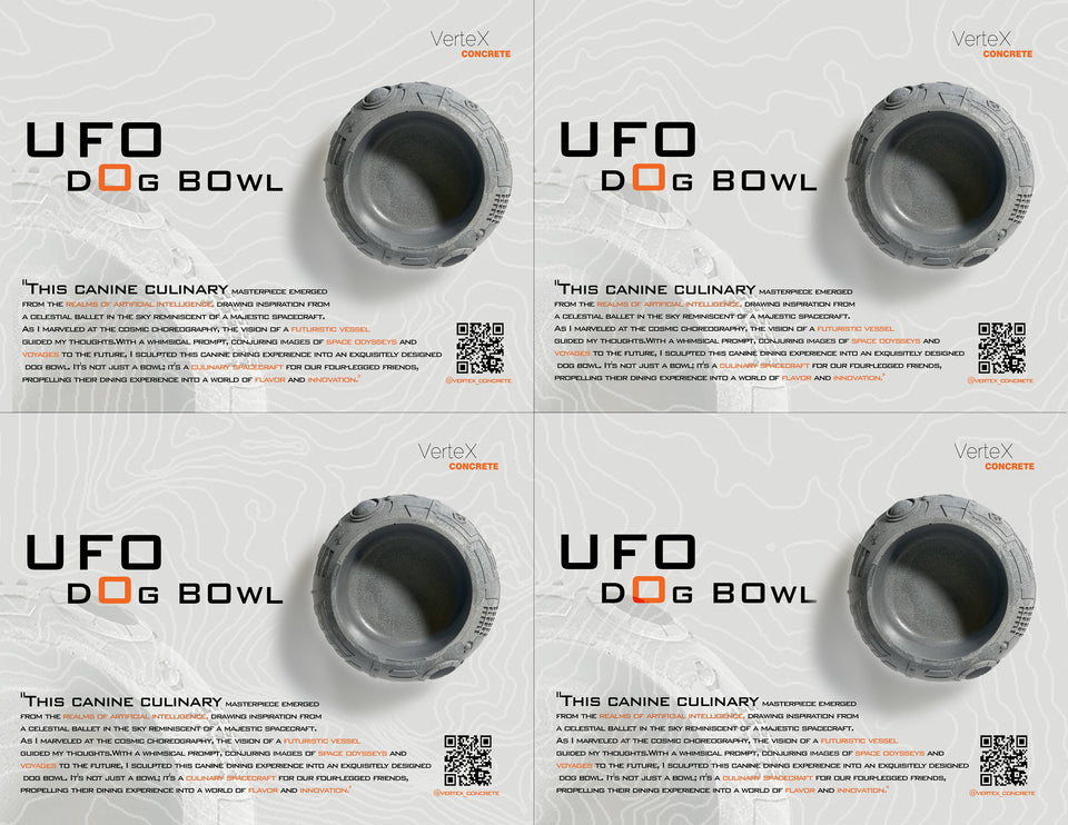 Flying saucer concrete pet bowl. dog bowl, cat bowl, concrete practical art,