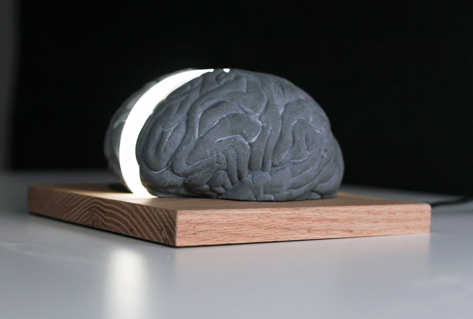 Mesmerizing Brain Lamp: A Unique Light for Your Space. Anatomical Brain Shaped Table Light for Study or Office Decor Concrete, Acrylic, Wood