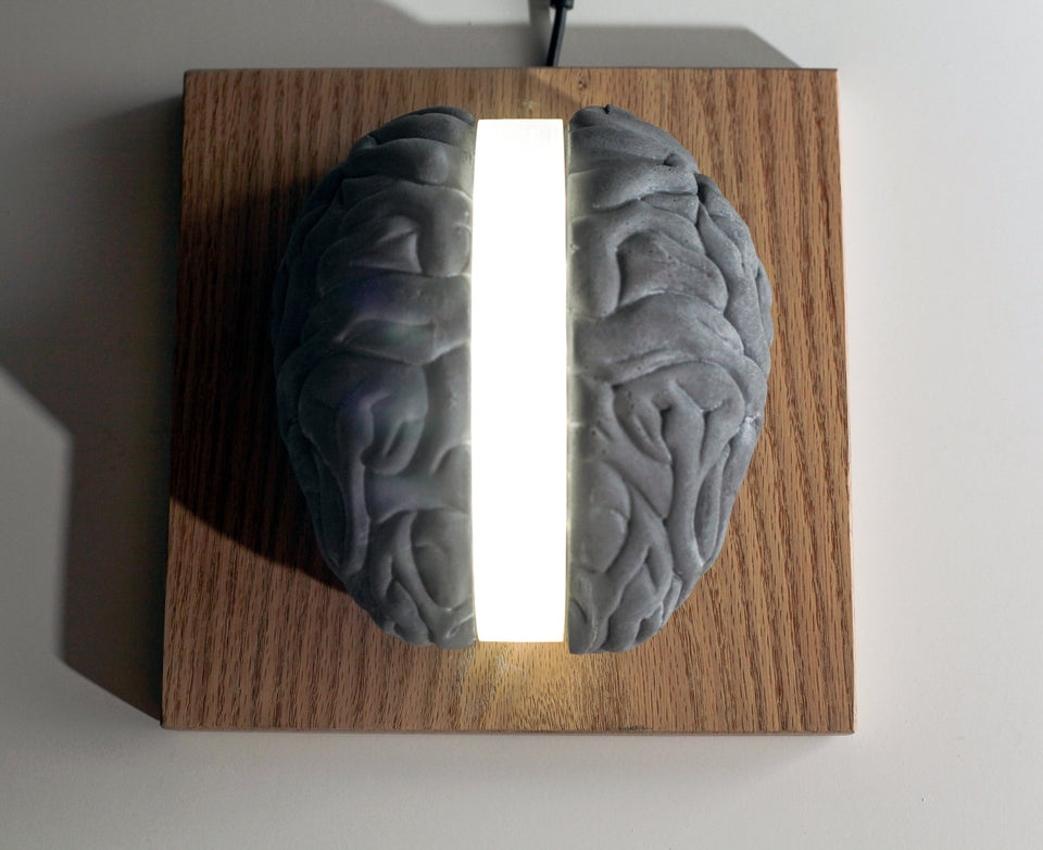 Mesmerizing Brain Lamp: A Unique Light for Your Space. Anatomical Brain Shaped Table Light for Study or Office Decor Concrete, Acrylic, Wood